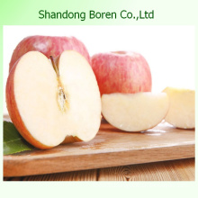 FUJI Apple in China From Shandong